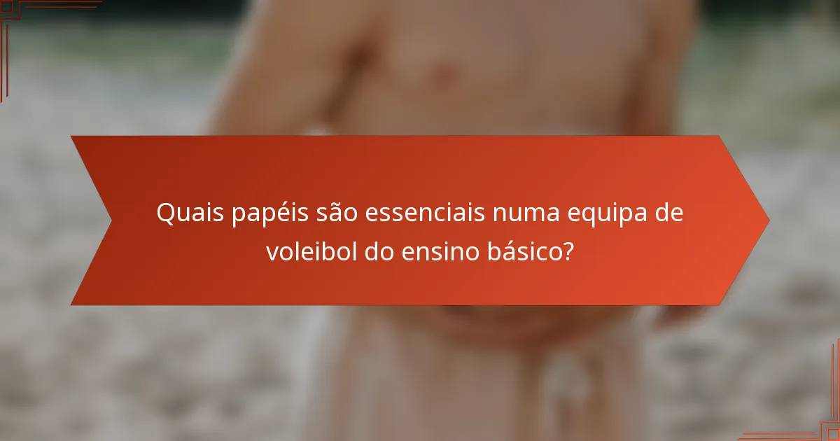 Quais papéis são essenciais numa equipa de voleibol do ensino básico?